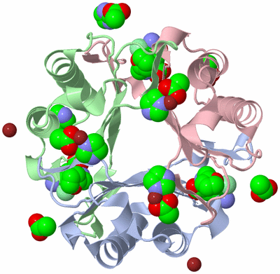 Image Biological Unit 1