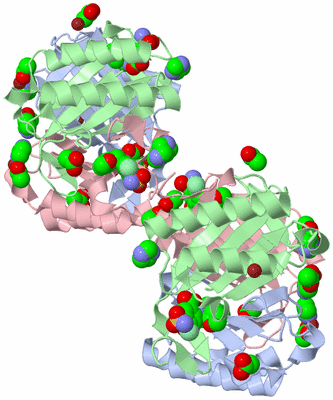 Image Biological Unit 2