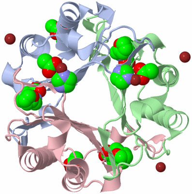 Image Biological Unit 1