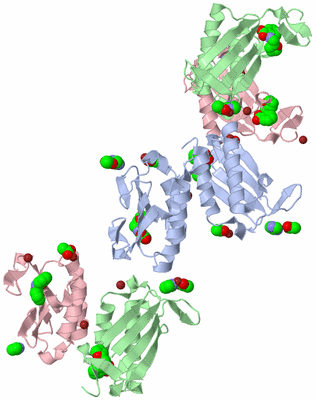 Image Biological Unit 2