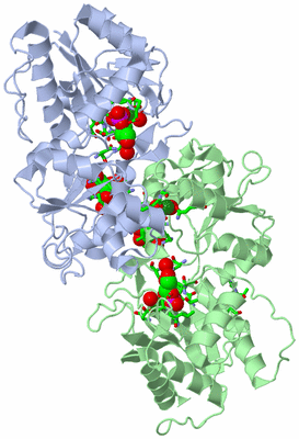 Image Biol. Unit 1 - sites