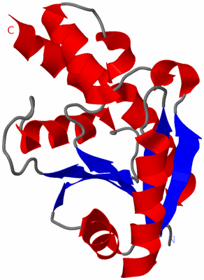 Image Asymmetric Unit