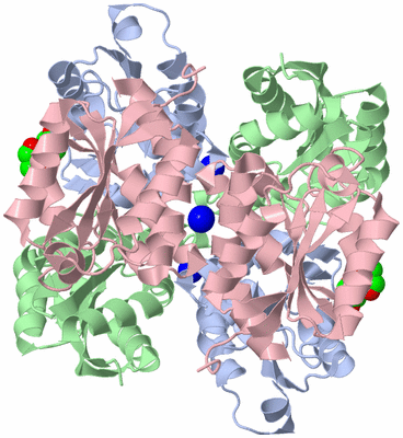 Image Biological Unit 1