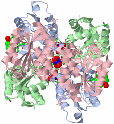 Image Biol. Unit 1 - sites