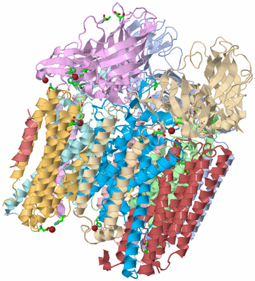 Image Asym./Biol. Unit - sites