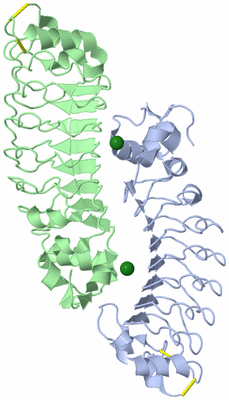 Image Asym. Unit - sites