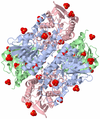 Image Biological Unit 1