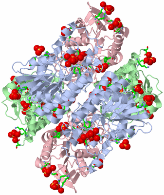 Image Biol. Unit 1 - sites