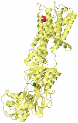 Image Biological Unit 4