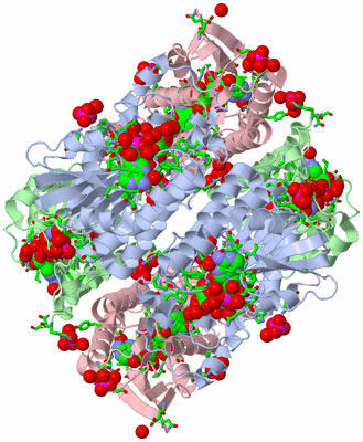 Image Biol. Unit 1 - sites