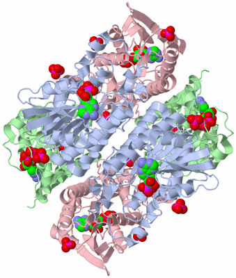 Image Biological Unit 1