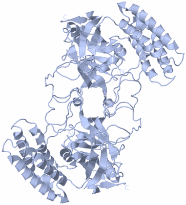 Image Biological Unit 2