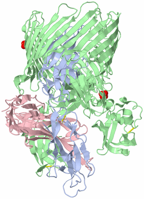 Image Biological Unit 1