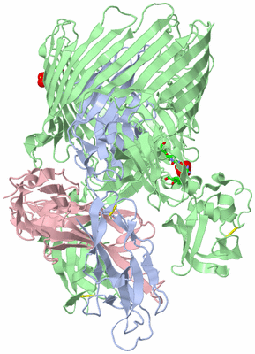 Image Biol. Unit 1 - sites