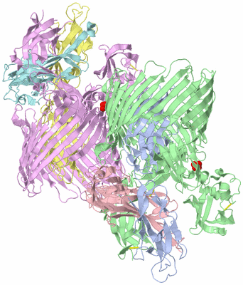 Image Biological Unit 3