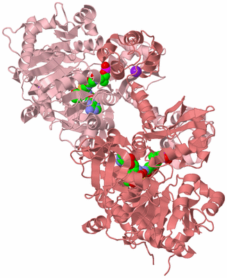 Image Biological Unit 2