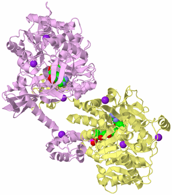 Image Biological Unit 3