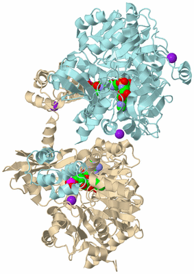 Image Biological Unit 4