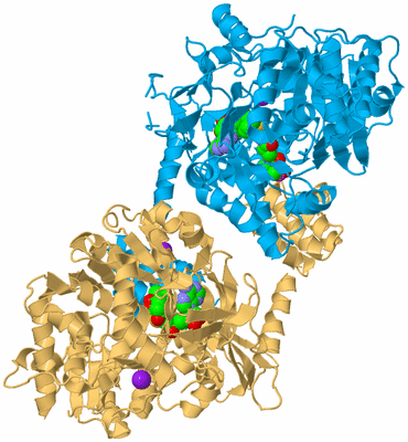 Image Biological Unit 5