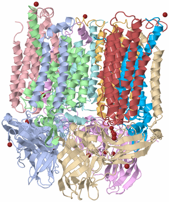 Image Asym./Biol. Unit