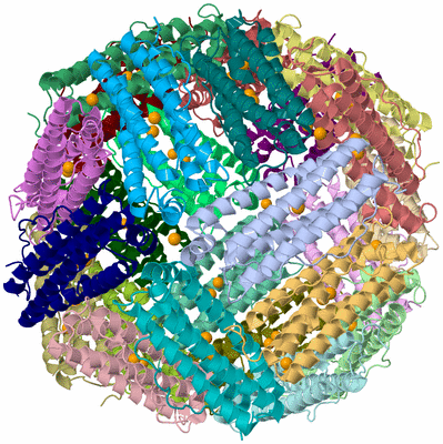 Image Asym./Biol. Unit