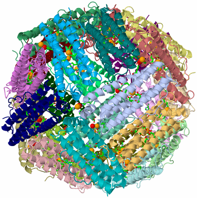 Image Asym./Biol. Unit - sites