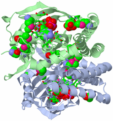 Image Asym./Biol. Unit - sites