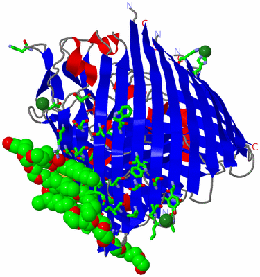 Image Asym./Biol. Unit - sites