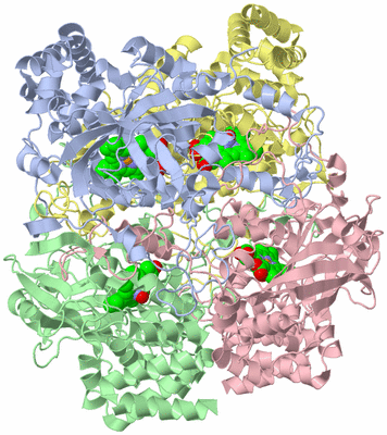 Image Asym./Biol. Unit