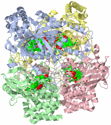 Image Asym./Biol. Unit - sites