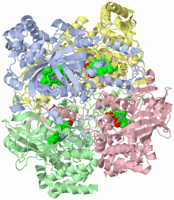 Image Asym./Biol. Unit