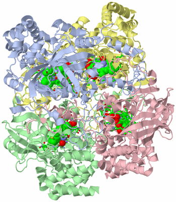 Image Asym./Biol. Unit - sites