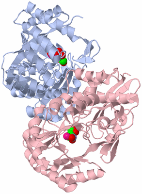 Image Biological Unit 1