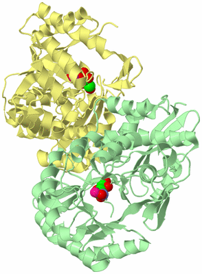 Image Biological Unit 2