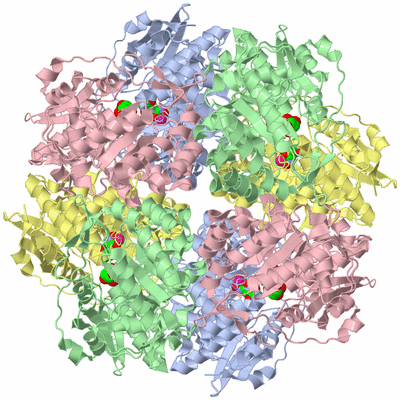 Image Biological Unit 3