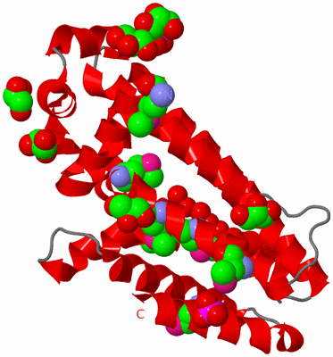 Image Asymmetric Unit