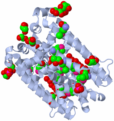 Image Biological Unit 1
