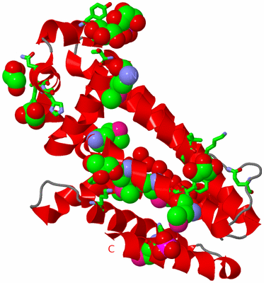 Image Asym. Unit - sites