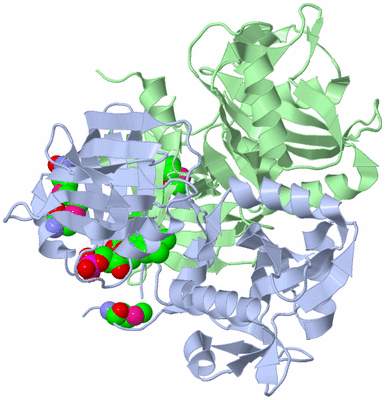 Image Biological Unit 1