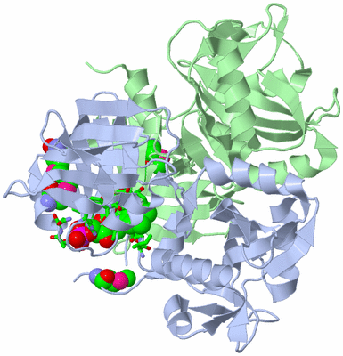 Image Biol. Unit 1 - sites