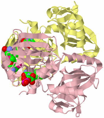 Image Biological Unit 2