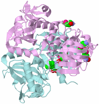 Image Biological Unit 3