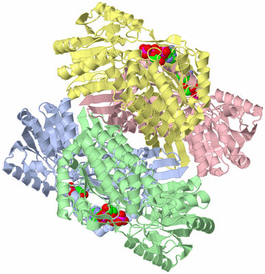 Image Biological Unit 1