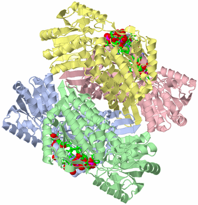 Image Biol. Unit 1 - sites