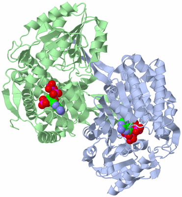 Image Biological Unit 2