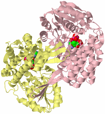 Image Biological Unit 3