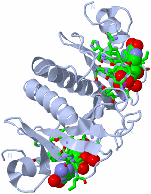 Image Biol. Unit 1 - sites