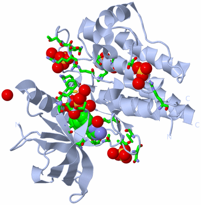 Image Biol. Unit 1 - sites