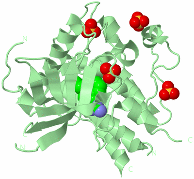 Image Biological Unit 2