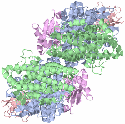 Image Biological Unit 1